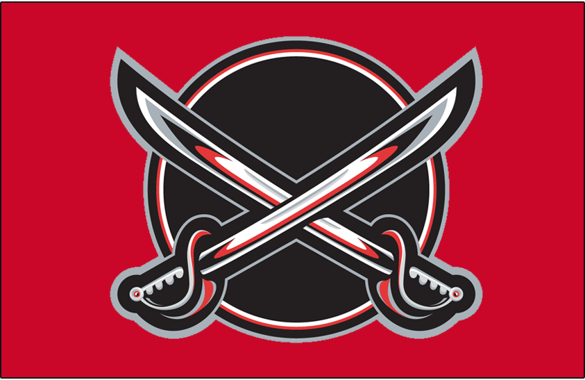 Buffalo Sabres 2000-2006 Jersey Logo t shirts DIY iron ons